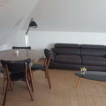 Orleans Appartement 2 Chambres Avec Parking Bagian luar foto