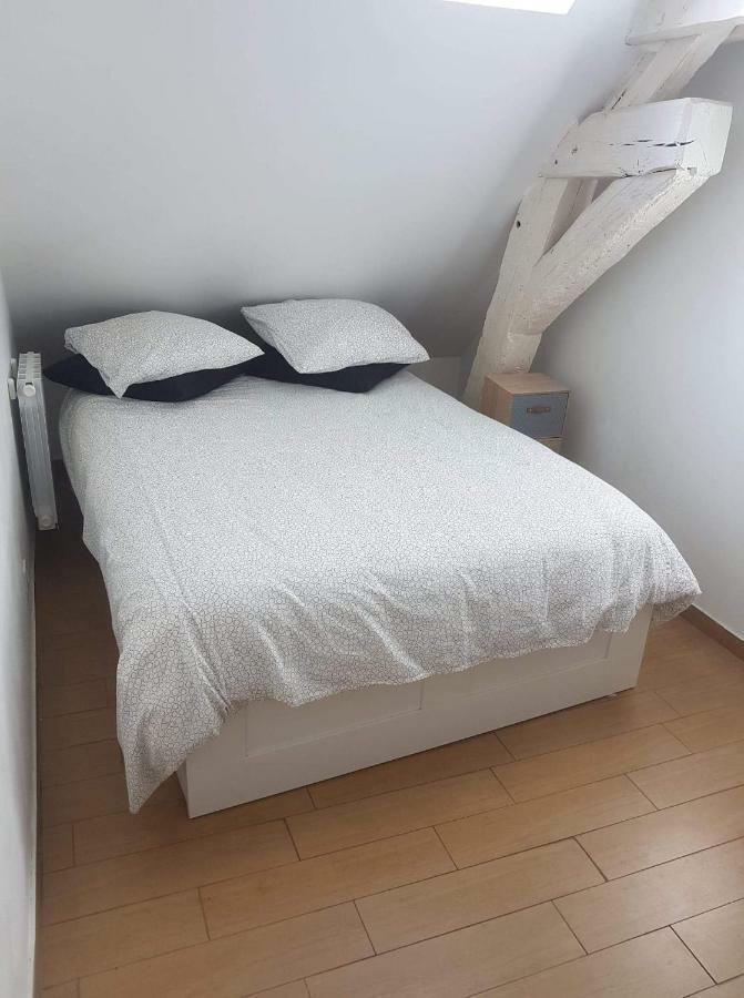 Orleans Appartement 2 Chambres Avec Parking Bagian luar foto